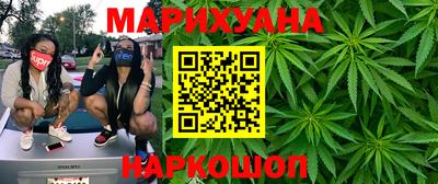 шишки Изобильный
