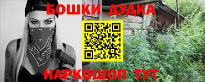 шишки Изобильный