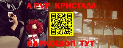 шишки Изобильный