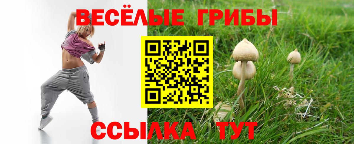Галлюциногенные грибы прущие грибы Ухта